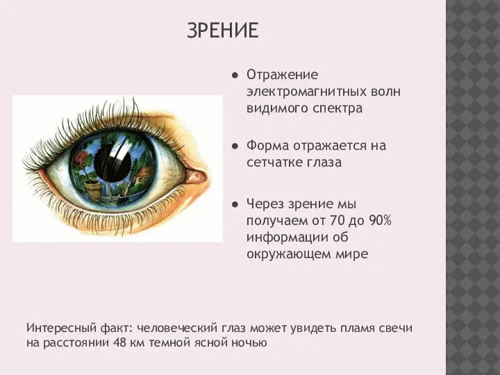 ЗРЕНИЕ Отражение электромагнитных волн видимого спектра Форма отражается на сетчатке глаза Через