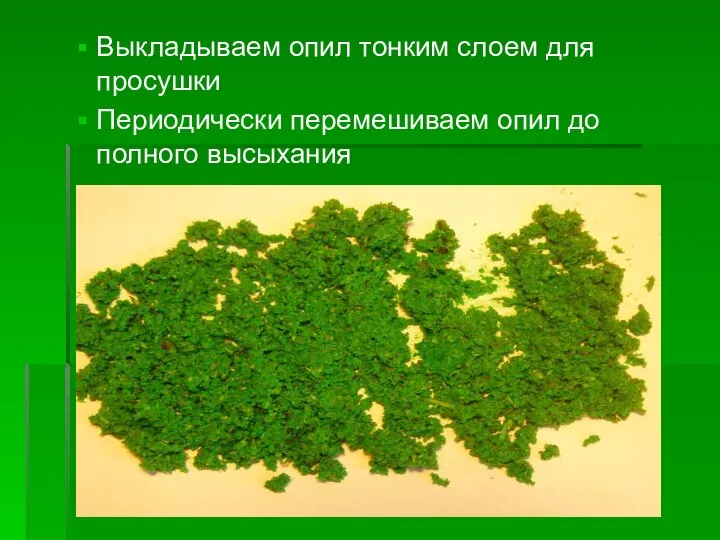 Выкладываем опил тонким слоем для просушки Периодически перемешиваем опил до полного высыхания