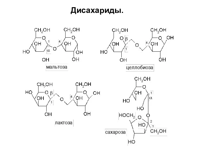 Дисахариды.