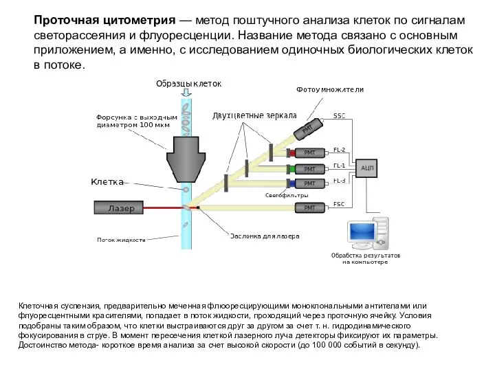 Проточная цитометрия — метод поштучного анализа клеток по сигналам светорассеяния и флуоресценции.