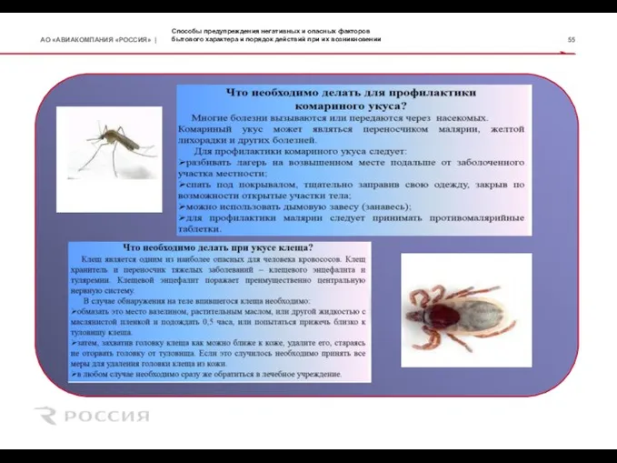 Способы предупреждения негативных и опасных факторов бытового характера и порядок действий при их возникновении