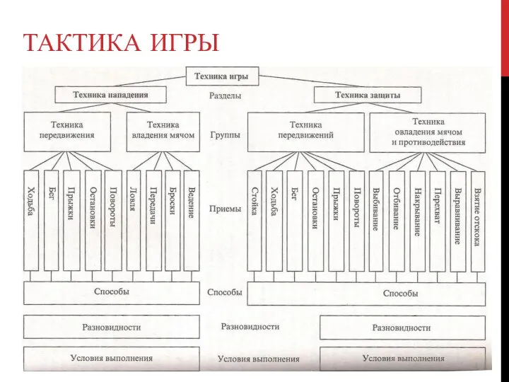 ТАКТИКА ИГРЫ