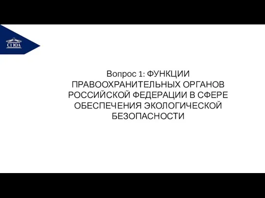 РЕМОНТ Вопрос 1: ФУНКЦИИ ПРАВООХРАНИТЕЛЬНЫХ ОРГАНОВ РОССИЙСКОЙ ФЕДЕРАЦИИ В СФЕРЕ ОБЕСПЕЧЕНИЯ ЭКОЛОГИЧЕСКОЙ БЕЗОПАСНОСТИ