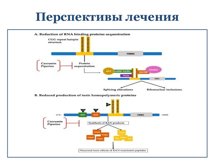 Перспективы лечения