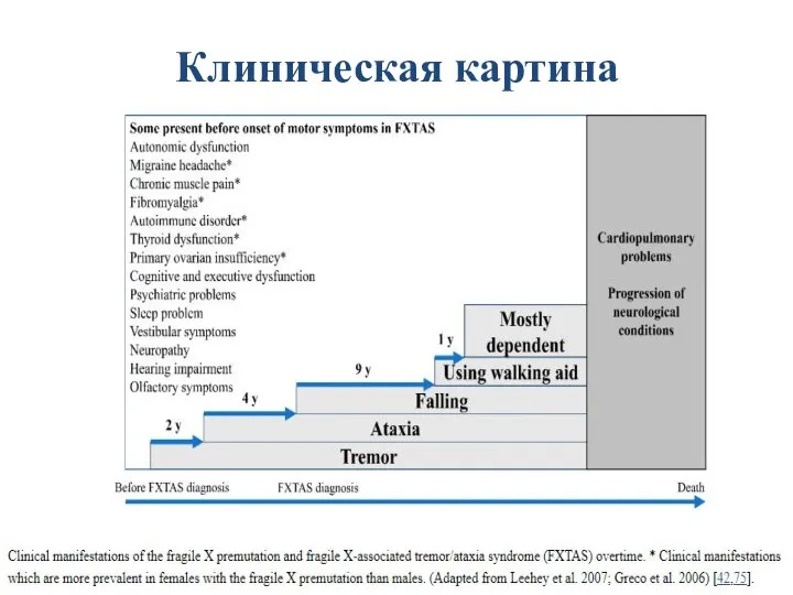 Клиническая картина