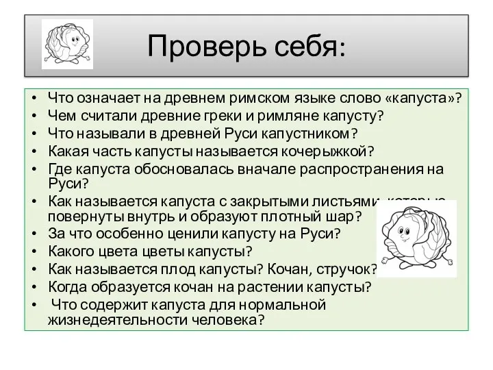 Проверь себя: Что означает на древнем римском языке слово «капуста»? Чем считали