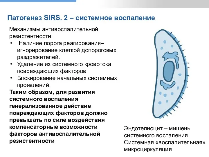 Патогенез SIRS. 2 – системное воспаление Механизмы антивоспалительной резистентности: Наличие порога реагирования–