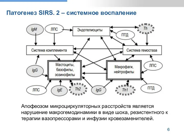 Патогенез SIRS. 2 – системное воспаление Апофеозом микроциркуляторных расстройств является нарушение макрогемодинамики