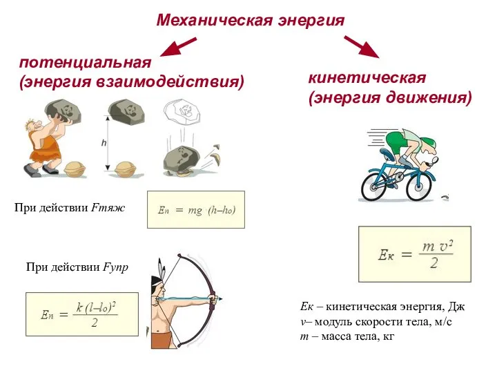 Механическая энергия потенциальная (энергия взаимодействия) При действии Fтяж При действии Fупр кинетическая