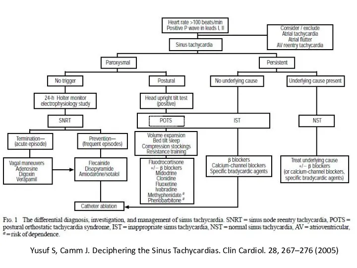 Yusuf S, Camm J. Deciphering the Sinus Tachycardias. Clin Cardiol. 28, 267–276 (2005)