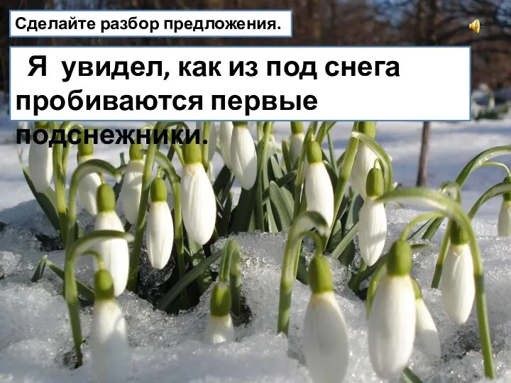 Я увидел, как из под снега пробиваются первые подснежники. Сделайте разбор предложения.