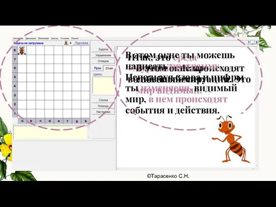 Итак, это среда «Муравей». Наш волшебный мир. В этом окне происходят события