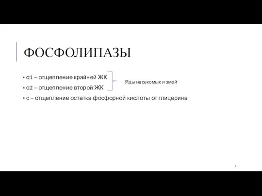 ФОСФОЛИПАЗЫ α1 – отщепление крайней ЖК α2 – отщепление второй ЖК с