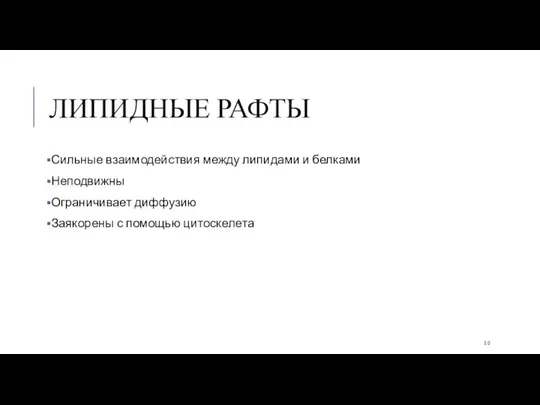 ЛИПИДНЫЕ РАФТЫ Сильные взаимодействия между липидами и белками Неподвижны Ограничивает диффузию Заякорены с помощью цитоскелета