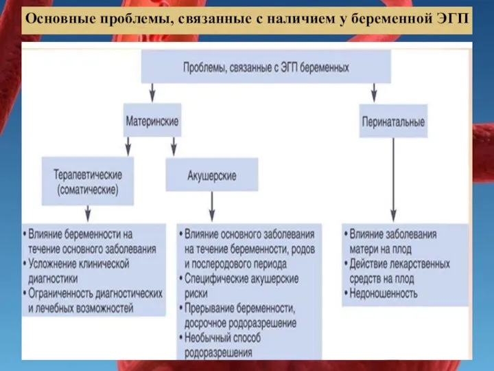 Основные проблемы, связанные с наличием у беременной ЭГП