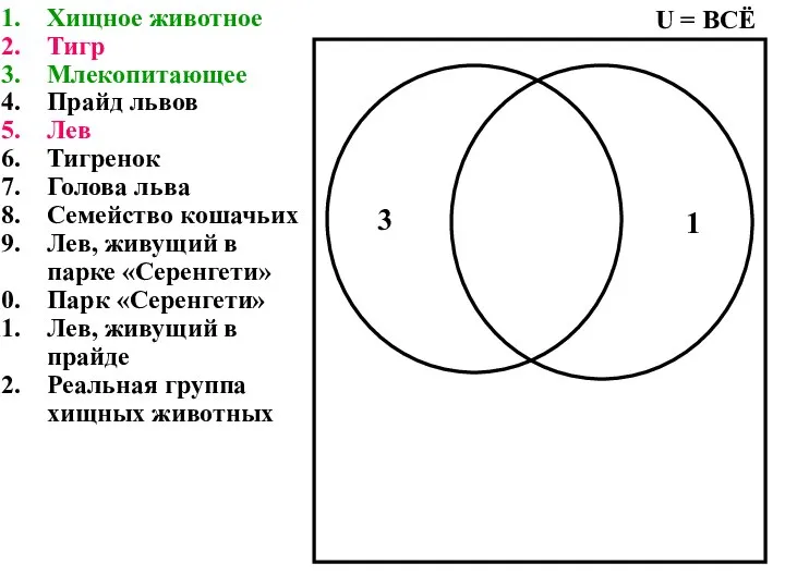 Хищное животное Тигр Млекопитающее Прайд львов Лев Тигренок Голова льва Семейство кошачьих