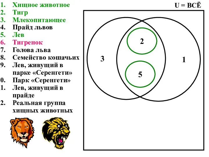 Хищное животное Тигр Млекопитающее Прайд львов Лев Тигренок Голова льва Семейство кошачьих