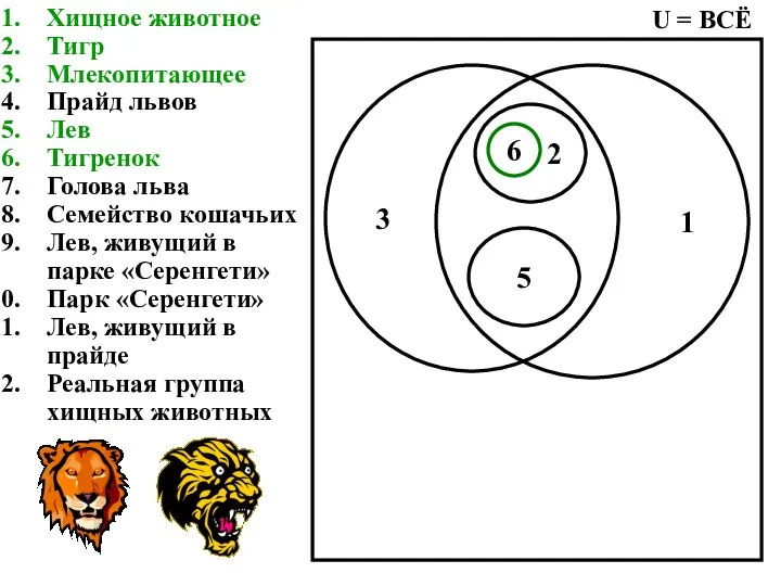 Хищное животное Тигр Млекопитающее Прайд львов Лев Тигренок Голова льва Семейство кошачьих