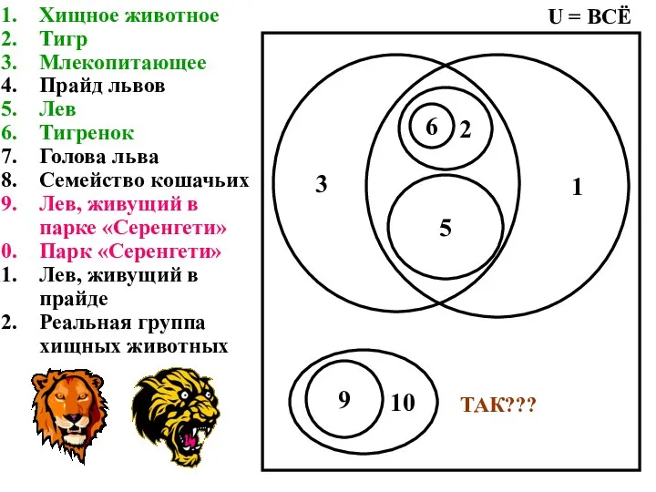 Хищное животное Тигр Млекопитающее Прайд львов Лев Тигренок Голова льва Семейство кошачьих