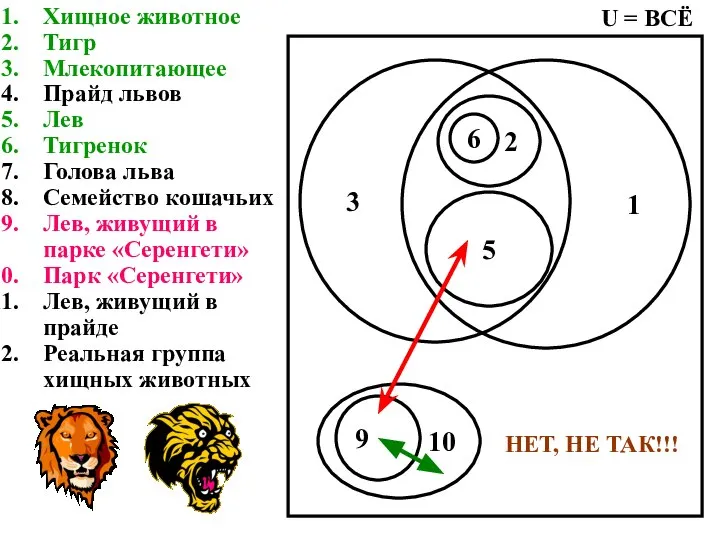 Хищное животное Тигр Млекопитающее Прайд львов Лев Тигренок Голова льва Семейство кошачьих