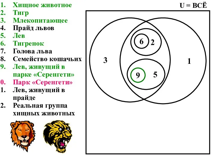 Хищное животное Тигр Млекопитающее Прайд львов Лев Тигренок Голова льва Семейство кошачьих