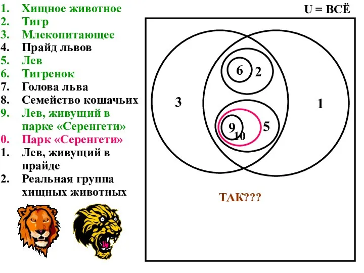 Хищное животное Тигр Млекопитающее Прайд львов Лев Тигренок Голова льва Семейство кошачьих