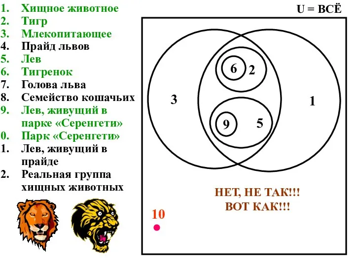 Хищное животное Тигр Млекопитающее Прайд львов Лев Тигренок Голова льва Семейство кошачьих