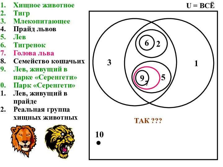 Хищное животное Тигр Млекопитающее Прайд львов Лев Тигренок Голова льва Семейство кошачьих