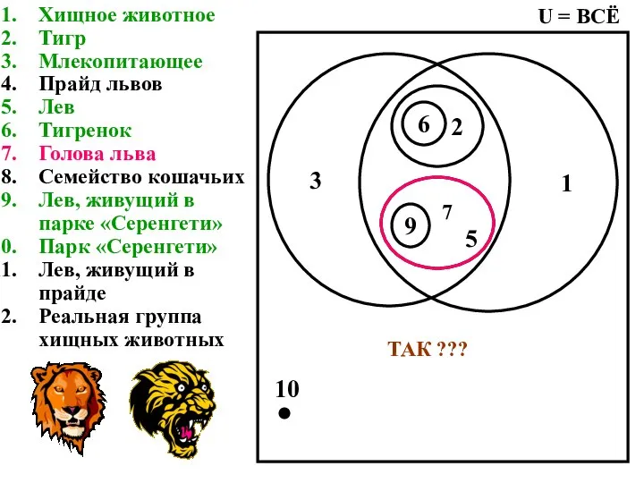 Хищное животное Тигр Млекопитающее Прайд львов Лев Тигренок Голова льва Семейство кошачьих