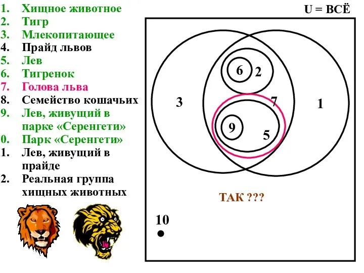 Хищное животное Тигр Млекопитающее Прайд львов Лев Тигренок Голова льва Семейство кошачьих