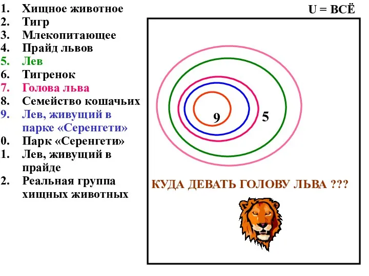 Хищное животное Тигр Млекопитающее Прайд львов Лев Тигренок Голова льва Семейство кошачьих