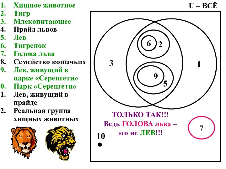 Хищное животное Тигр Млекопитающее Прайд львов Лев Тигренок Голова льва Семейство кошачьих