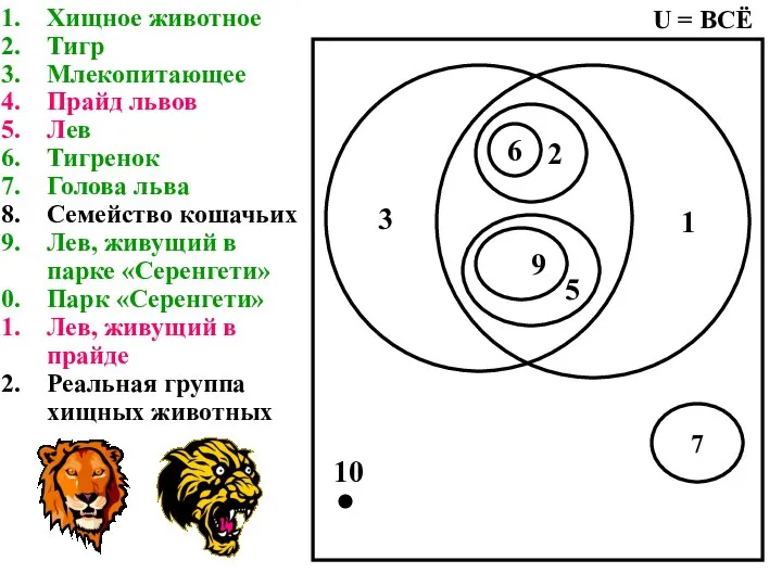 Хищное животное Тигр Млекопитающее Прайд львов Лев Тигренок Голова льва Семейство кошачьих