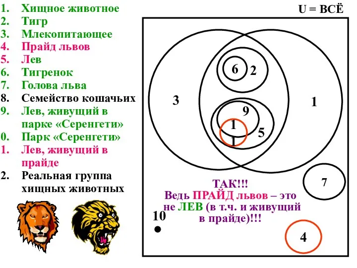 Хищное животное Тигр Млекопитающее Прайд львов Лев Тигренок Голова льва Семейство кошачьих