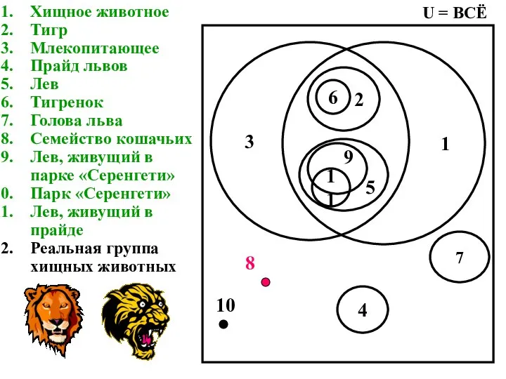 Хищное животное Тигр Млекопитающее Прайд львов Лев Тигренок Голова льва Семейство кошачьих