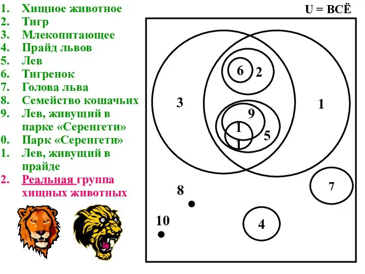 Хищное животное Тигр Млекопитающее Прайд львов Лев Тигренок Голова льва Семейство кошачьих