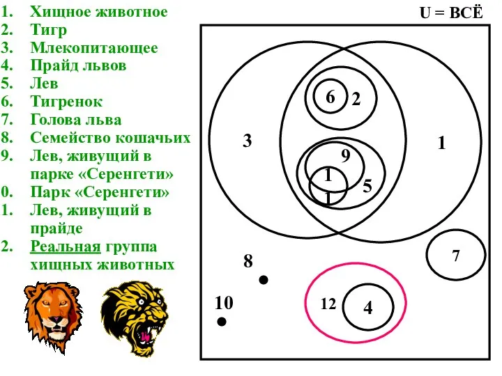 Хищное животное Тигр Млекопитающее Прайд львов Лев Тигренок Голова льва Семейство кошачьих