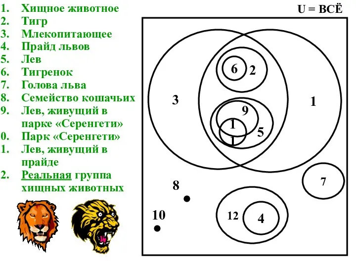 Хищное животное Тигр Млекопитающее Прайд львов Лев Тигренок Голова льва Семейство кошачьих