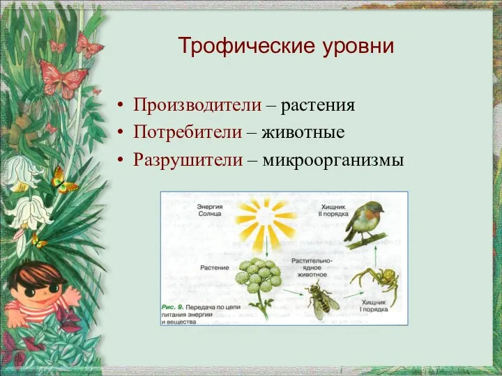 Трофические уровни Производители – растения Потребители – животные Разрушители – микроорганизмы