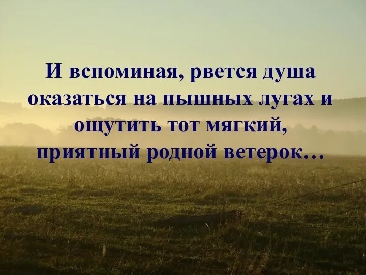 И вспоминая, рвется душа оказаться на пышных лугах и ощутить тот мягкий, приятный родной ветерок…