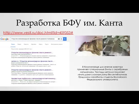 Разработка БФУ им. Канта http://www.vesti.ru/doc.html?id=459353# В Калининграде для лечения животных применяют специальные
