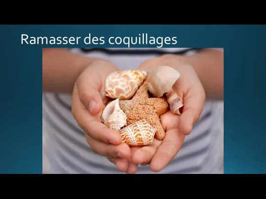 Ramasser des coquillages