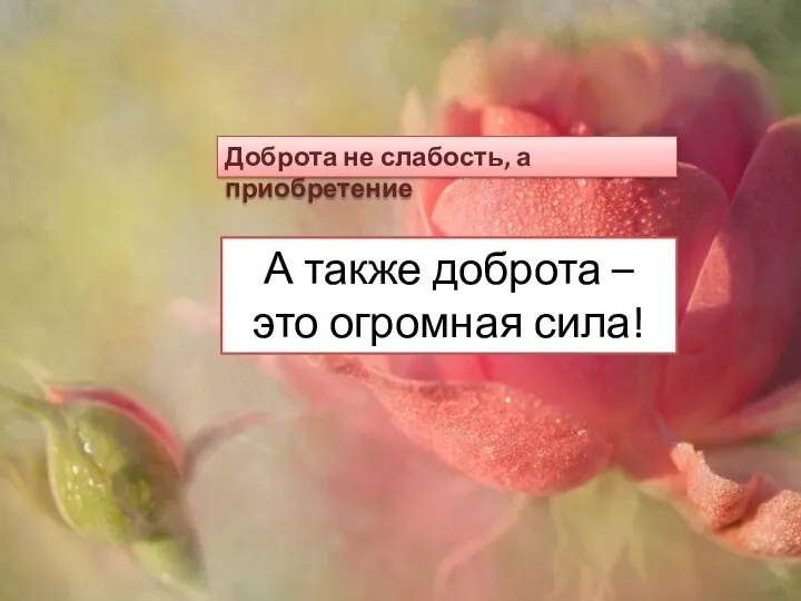 Доброта не слабость, а приобретение А также доброта – это огромная сила!