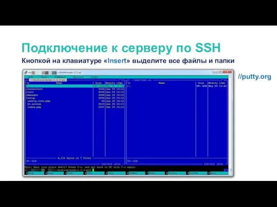 Кнопкой на клавиатуре «Insert» выделите все файлы и папки Подключение к серверу по SSH //putty.org