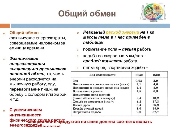 Общий обмен Общий обмен - фактические энергозатраты, совершаемые человеком за единицу времени