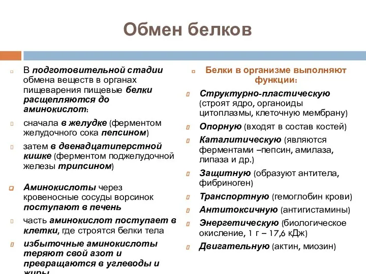 Обмен белков В подготовительной стадии обмена веществ в органах пищеварения пищевые белки