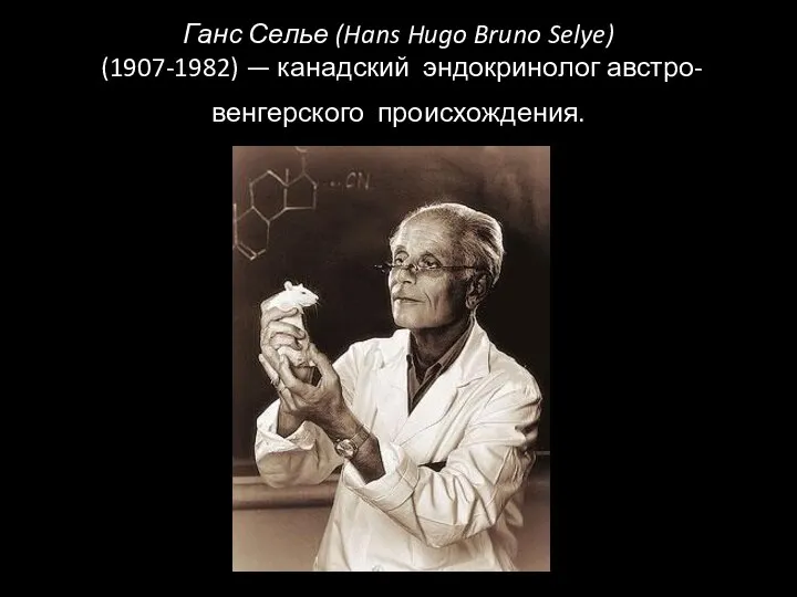Ганс Селье (Hans Hugo Bruno Selye) (1907-1982) — канадский эндокринолог австро- венгерского происхождения.