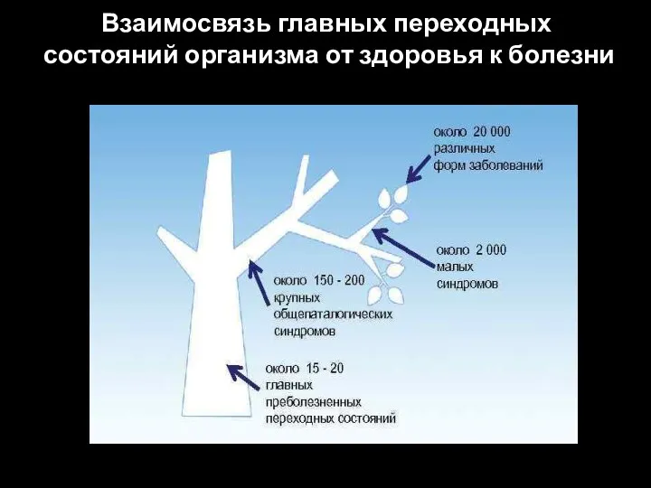 Взаимосвязь главных переходных состояний организма от здоровья к болезни