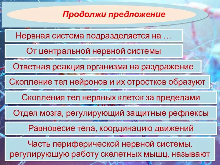 Нервная система подразделяется на … Продолжи предложение От центральной нервной системы расходятся