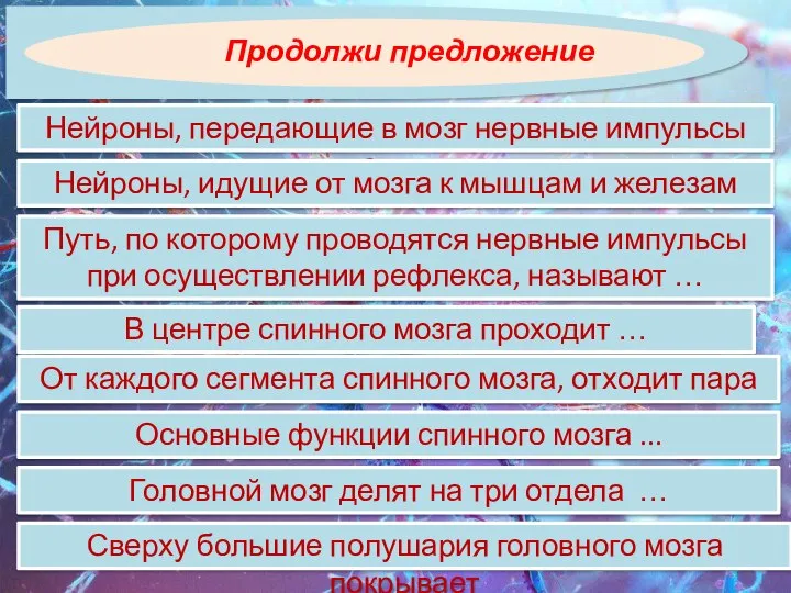 Нейроны, передающие в мозг нервные импульсы от … Продолжи предложение Нейроны, идущие